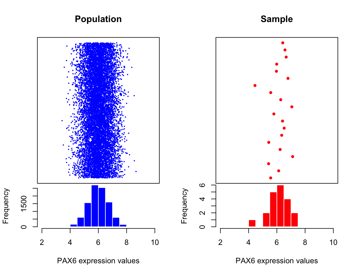 Expression of all possible PAX6 gene expression measures on all available biological samples (left). Expression of the PAX6 gene from the statistical sample, a random subset from the population of biological samples (right). 