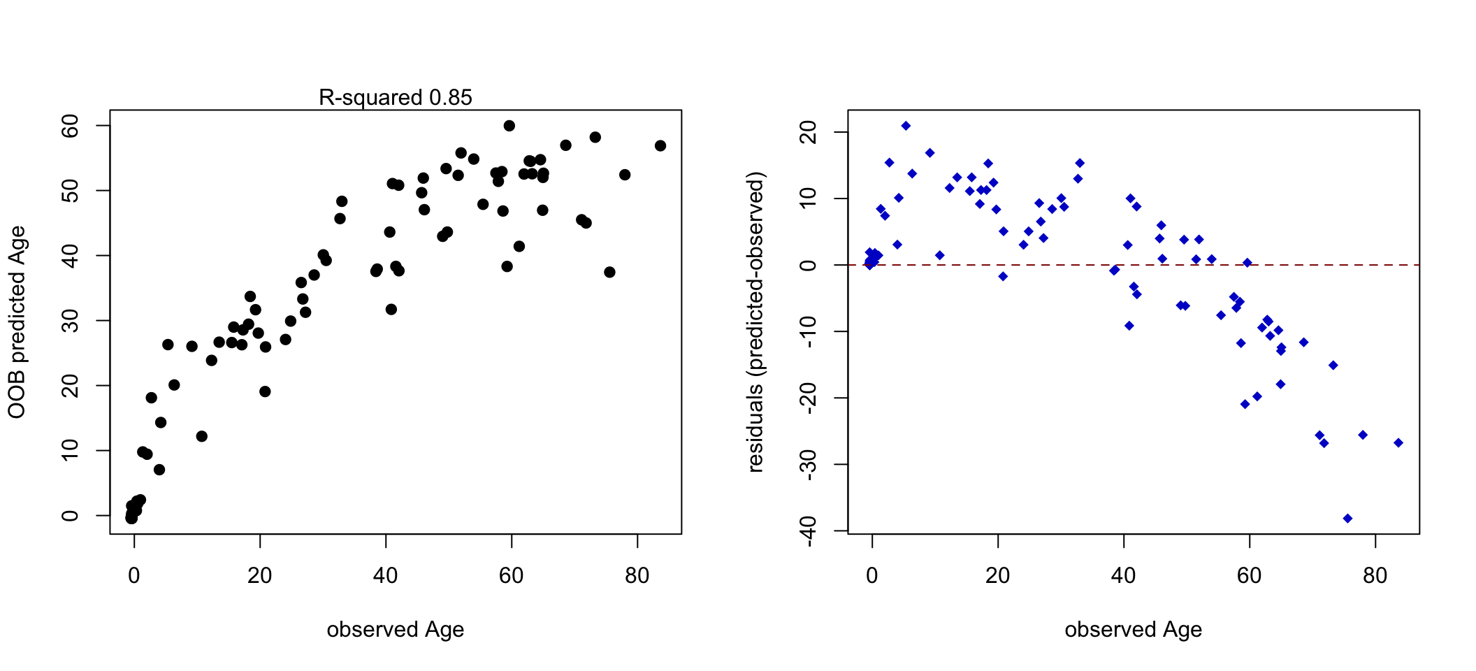 Observed vs. predicted age (Left). Residual plot showing that for older people the error increases (Right).