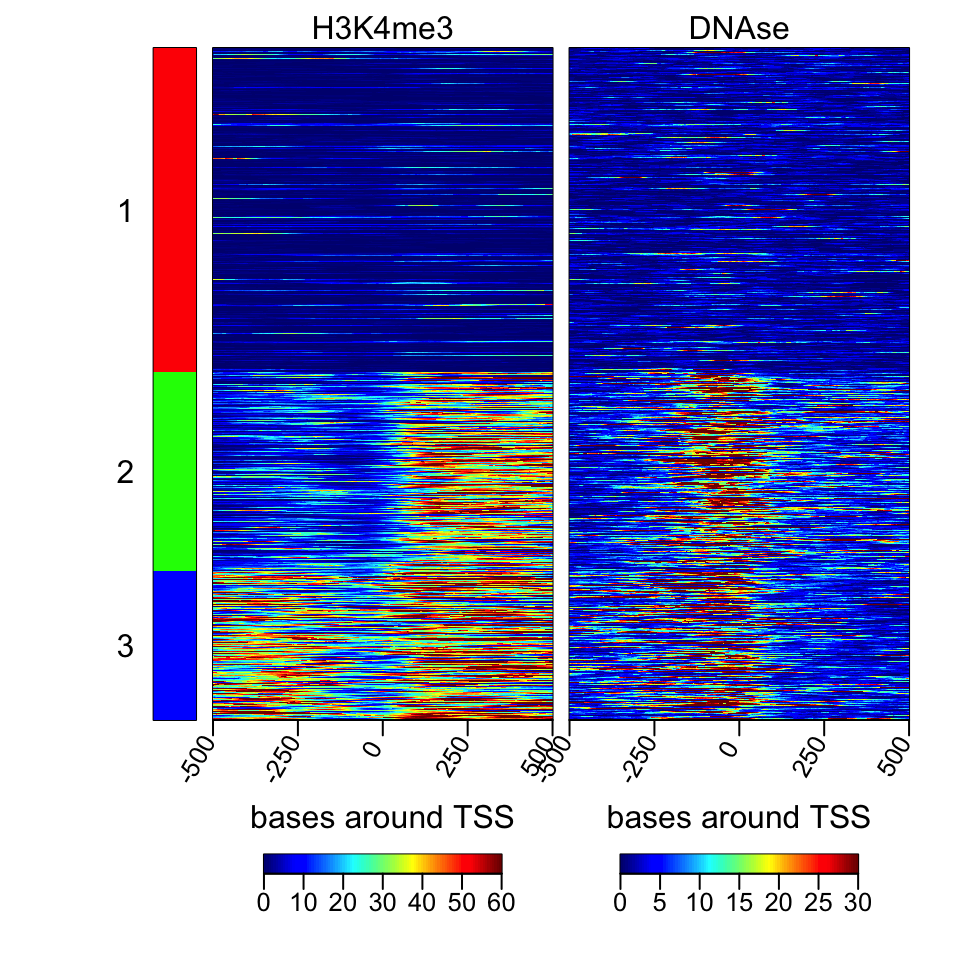 Heatmaps of H3K4me3 and DNAse data.