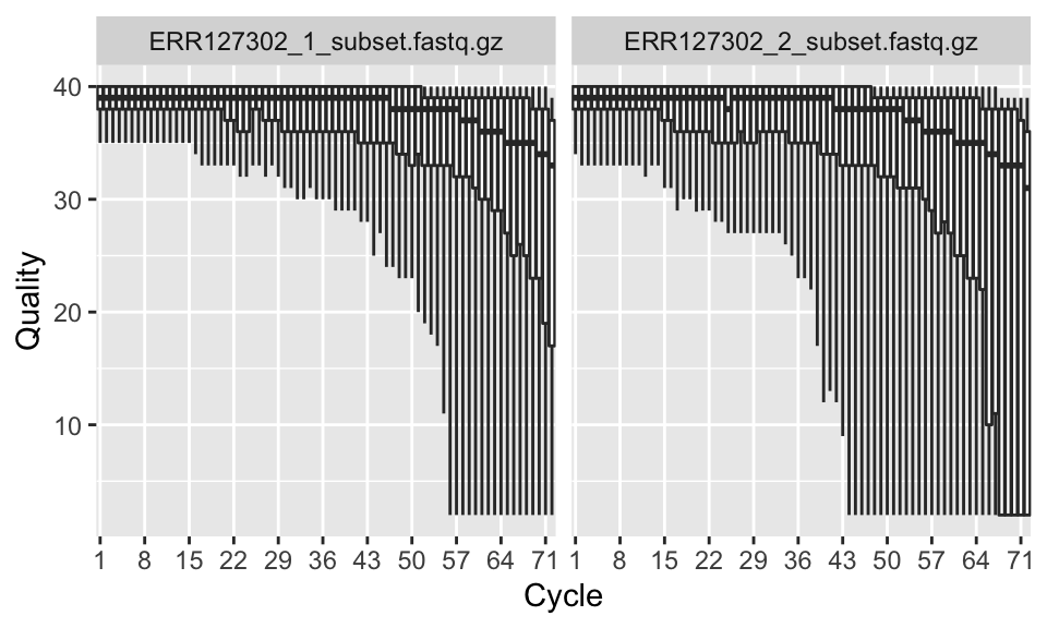 Per base sequence quality boxplot.