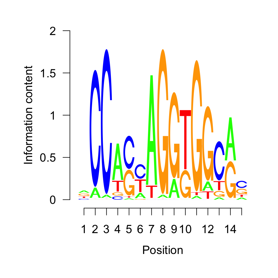 Motif with highest enrichment in top 500 CTCF peaks.