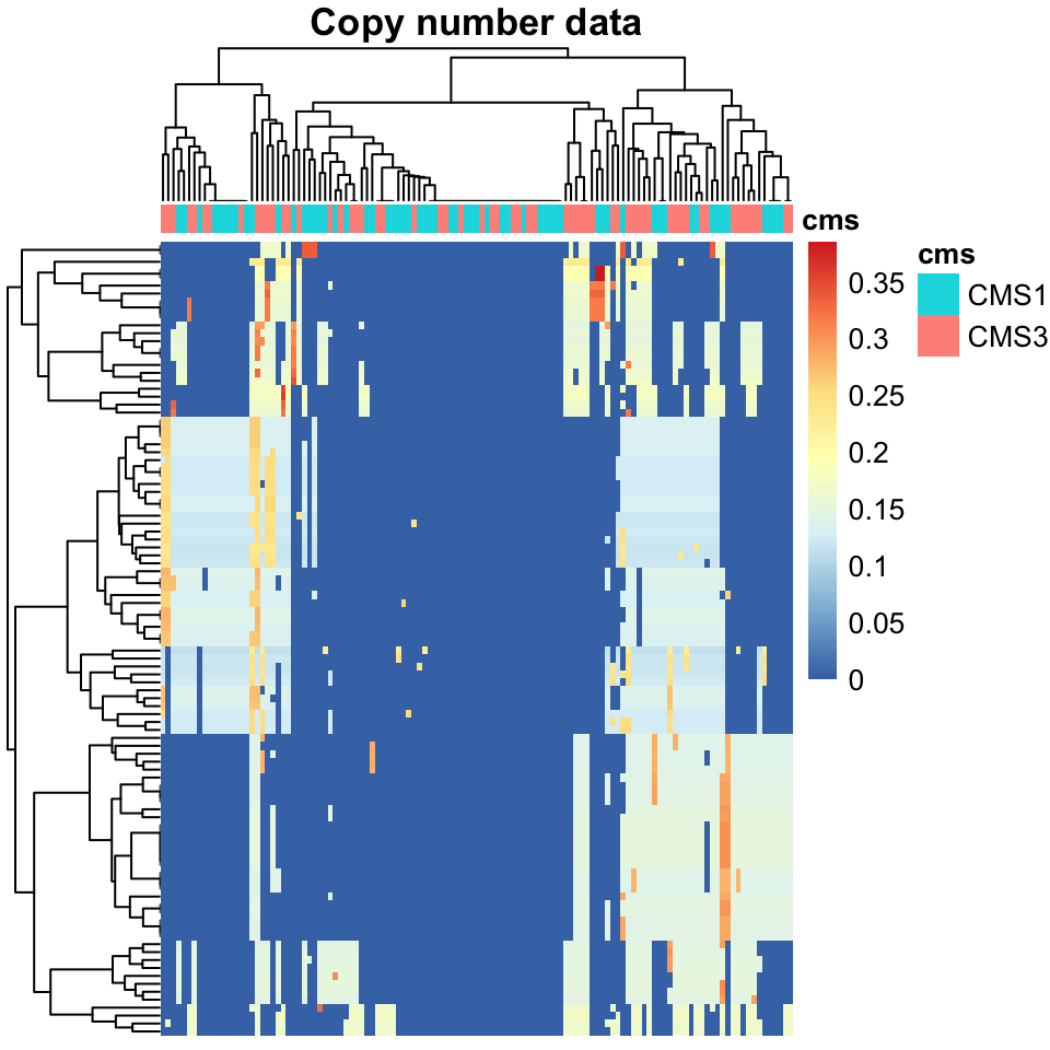 Heatmap of copy number variation data, colorectal cancers.