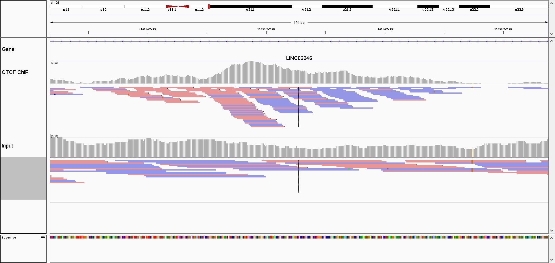 Browser screenshot of aligned reads for one ChIP, and control sample. ChIP samples have an asymetric distribution of reads; reads mapping to the + strand are located on the left side of the peak, while the reads mapping to the - strand are found on the right side of the peak.
