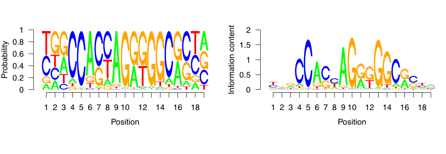 CTCF sequence motif visualized as a sequence logo. Y-axis ranges from zero to two, and corresponds to the amount of information each base in the motif contributes to the overall motif. The larger the letter, the greater the probability of observing just one defined base on the designated position.