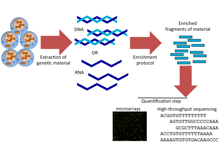 Detecting selection in low-coverage high-throughput sequencing